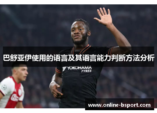 巴舒亚伊使用的语言及其语言能力判断方法分析